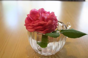 flowers1